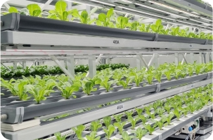 위드아그로㈜ 윤잇팜 여주 구축